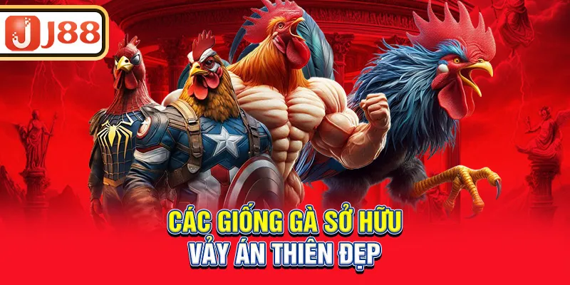 cac-giong-ga-so-huu-vay-an-thien-dep_2_11zon