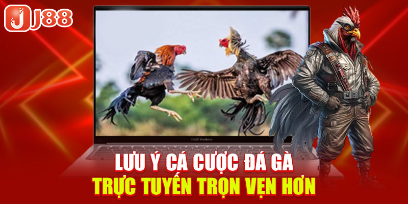 luu-y-ca-cuoc-da-ga-truc-tuyen-tron-ven-hon
