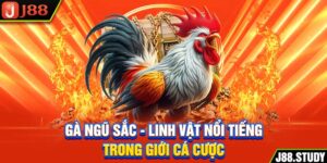 ga-ngu-sac-linh-vat-noi-tieng-trong-gioi-ca-cuoc