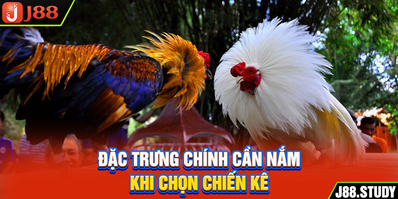 dac-trung-chinh-can-nam-khi-chon-chien-ke