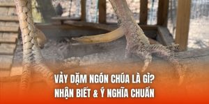 Vảy Dặm Ngón Chúa Là Gì? Nhận Biết & Ý Nghĩa Chuẩn