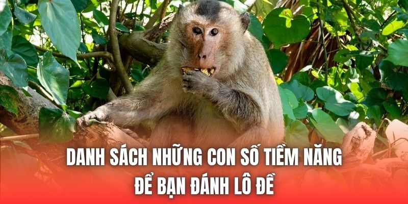 Danh sách những con số tiềm năng để bạn đánh lô đề